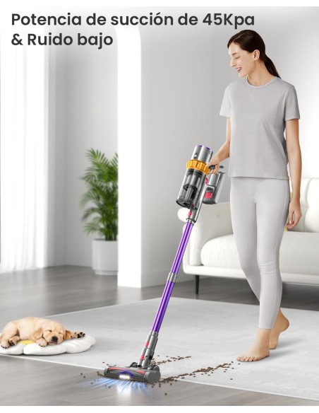 WHOY 45Kpa/550W/65Mins Aspiradora sin Cable 1, 3 Velocidades, Morado